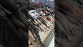 Fish market Vellore ✨ Fish lover ✨ shorts foodreview vellore [upl. by Enyawal]