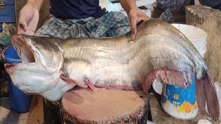 Giant Wallago Catfish Cutting amp Chopping in Fish Market  Boal Fish Cutting Skills [upl. by Singleton]