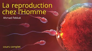 LA REPRODUCTION CHEZ LHOMME  2APIC prof Ahmed FEKKAK [upl. by Alexandro]