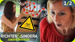 GIFTIGES Geschenk Nadja öffnet PAKET amp ringt nach BISS um Leben 🐍​ 12 Richter amp Sindera  SAT1 [upl. by Wolcott]