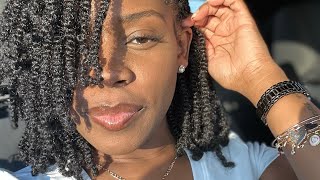 Mini twist quick amp easy tutorial  Two Strand Kinky twist [upl. by Charpentier376]