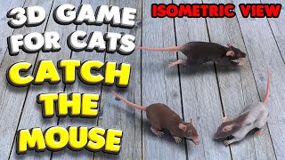 3D game for cats  CATCH THE MOUSE isometric view [upl. by Dazhehs]