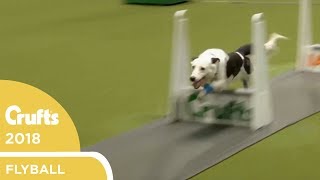 Flyball  YKC Final  Crufts 2018 [upl. by Eidoc431]