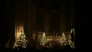 Christmette 2018  Dom St Peter Regensburg  quotStille Nachtquot Regensburger Domspatzen [upl. by Ayokahs]