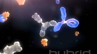 Antidrug antibodies [upl. by Rosana]