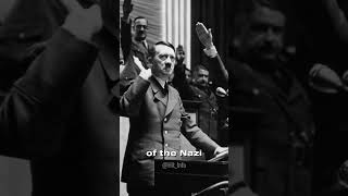 How Hitler Rise to Power  Hit Info [upl. by Htelimay]