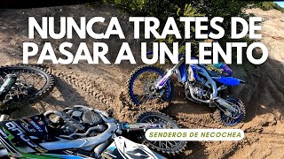 SENDEROS DE NECOCHEA  BOSQUES MEDANOS Y ARROYOS  PARTE 1 [upl. by Isteb]