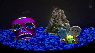 10 Gallon Half Moon Fish Tank Marineland [upl. by Ecyoj635]