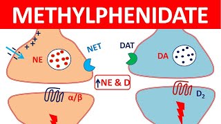 Methylphenidate Ritalin for ADHD  Mechanism precautions side effects amp uses [upl. by Airpal]