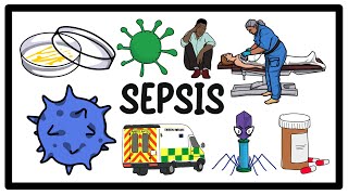 Sepsis Infection amp Septic Shock The Ultimate Guide to Symptoms and Treatment [upl. by Omidyar500]