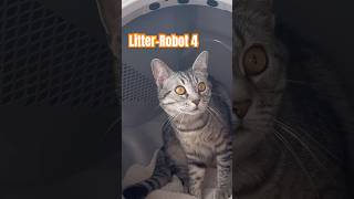 Best automatic litter box review  LitterRobot 4 litterrobot unboxing catowners [upl. by Ormsby]