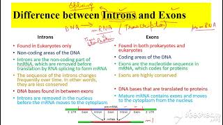 Features of the GENETIC CODE Alevel Biology Degenerate nonoverlapping and universal [upl. by Dusza]