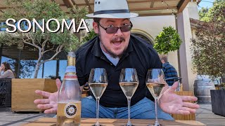 Wine Tasting In Sonoma Ca Three Different Wineries [upl. by Winnifred46]