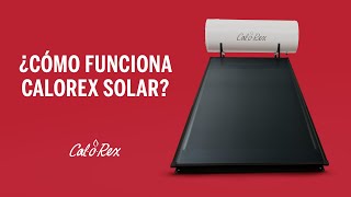 ¿Cómo funciona el calentador Calorex Solar [upl. by Whitcomb]