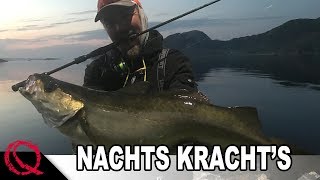 Nachts Krachts  Mit Gummifisch auf Pollack amp Dorsch  Angeln vom Ufer in Norwegen [upl. by Dominga]