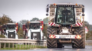 XXL BEET HARVESTING  100 WHITE HOLMER  EPIC MACHINERY [upl. by Niwroc]