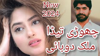 jhori teda molk Dubai vedy paihe  Saraiki song music 2024  Tahir gashkori [upl. by Htebarual]