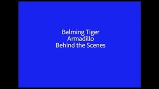 Balming Tiger Armadillo BTS [upl. by Kynthia]