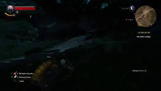 Lets Play The Witcher 3 Die Eroberung des Paradieses Folge 14 [upl. by Ahsela]