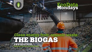 The Biogas Revolution [upl. by Ynattib334]