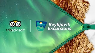 Unleash Iceland With Reykjavik Excursions amp TripAdvisor [upl. by Solegnave]