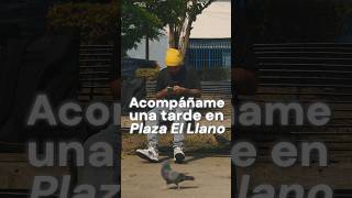 Una tarde en la Plaza El Llano de Mérida 🌳 merida venezuela meridavenezuela [upl. by Gaulin977]