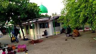 Pirotan dargah sarif [upl. by Elakram]