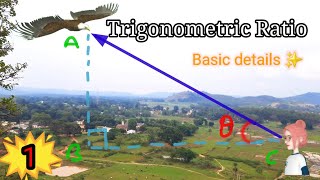 Trigonometric identities 1 basic of Trigonometry class 10JAC AND CBSE board [upl. by Augustin]