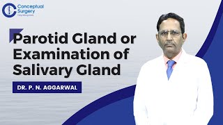 Parotid Gland or Examination of Salivary Gland by Dr P N Aggarwal [upl. by Heiskell861]