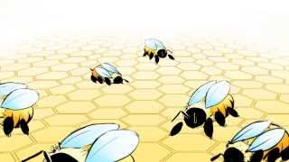 Reproduction and Brood Development  How are different kinds of bees created [upl. by Havard]