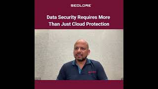 Data Security Requires More Than Just Cloud Protection [upl. by Pittel]