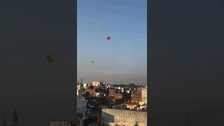 Looting guda from rooftop rawalpindi kite basantkiteflying kiteflying flyingkites travel kite [upl. by Eiznyl]