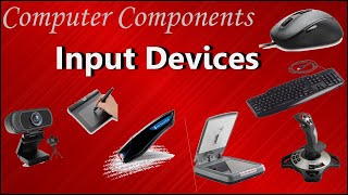 Input Devices of Computer  Examples and purpose [upl. by Sension38]