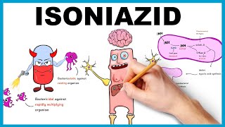 Isoniazid Mechanism of Action Uses Dose side effects [upl. by Goldshell]