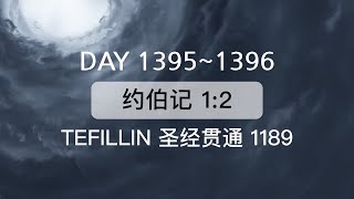 Tefillin Day 13951396 约伯记 12 宣布圣经 50次 [upl. by Betthel40]