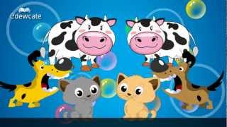 Edewcate english rhymes  Animal Sounds song [upl. by Hola86]