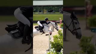 So pretty love greys  not me   not my video whitehorses horsejumping horse [upl. by Aleac]