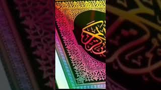 Islamic WATTSAP stutse31120241031 respectshort [upl. by Mikey492]