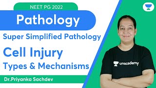 Super simplified Pathology  Cell Injury  Dr Priyanka Sachdev [upl. by Anived]