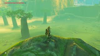 BOTW Playthrough 30 Approaching Gerudo [upl. by Ellenehc]