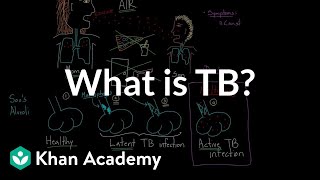 What is TB  Infectious diseases  NCLEXRN  Khan Academy [upl. by Rakabuba]