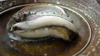 Live Abalone cooking and quotDancingquot [upl. by Sirod]