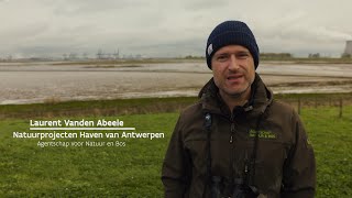 Vis en vogelonderzoek in de Hedwige en Prospergebieden  Natuur en Bos [upl. by Bocoj]