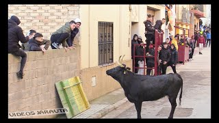 POZUELO DE ARAGÃ“N  ZARAGOZA  TARDE VACAS CALLE  DOMINGO 15 ENERO 2023  VIRGEN DE SANCHO ABARCA [upl. by Schaper]