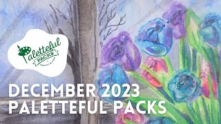 December 2023 Premier Paletteful Packs Unboxing amp Demo [upl. by Ikcir727]