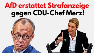 AFD will MERZ stürzen und geht RECHTLICH gegen ihn vor [upl. by Madai]