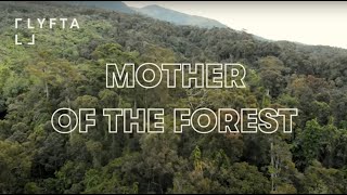 Mother of the Forest  trailer [upl. by O'Connor657]