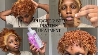 Aphogee 2 Step Treatment REVIEW On Bleached Hair [upl. by Elodia]