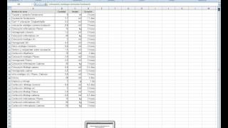 Video 1 Gantt para la Construcción [upl. by Linnet]