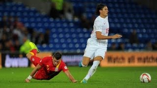 Ljubomir Fejsa vs País de Gales  Novo Jogador do Benfica [upl. by Dowlen]